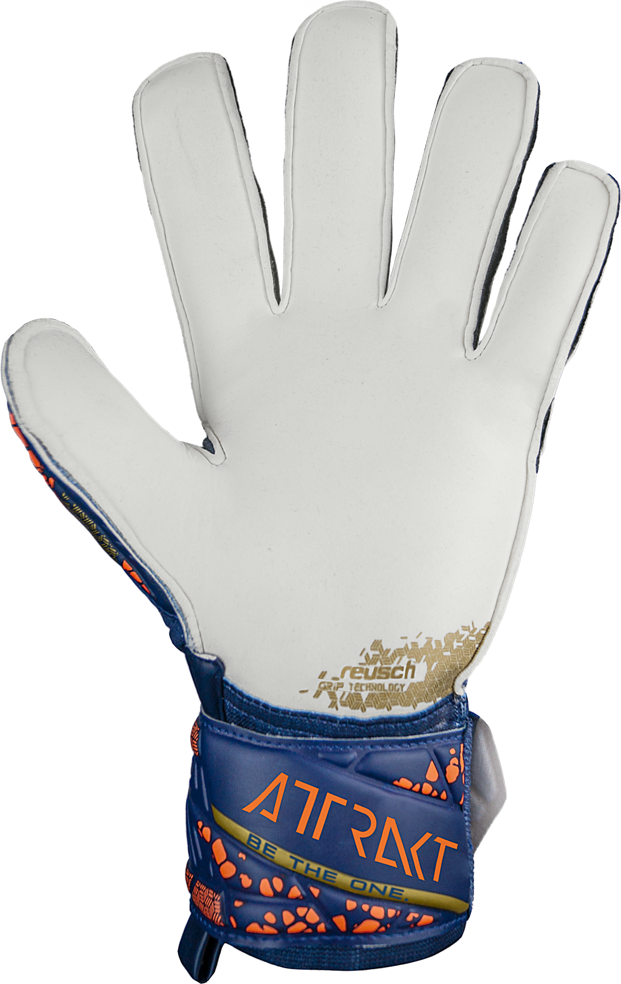 Reusch Attrakt Grip 2024