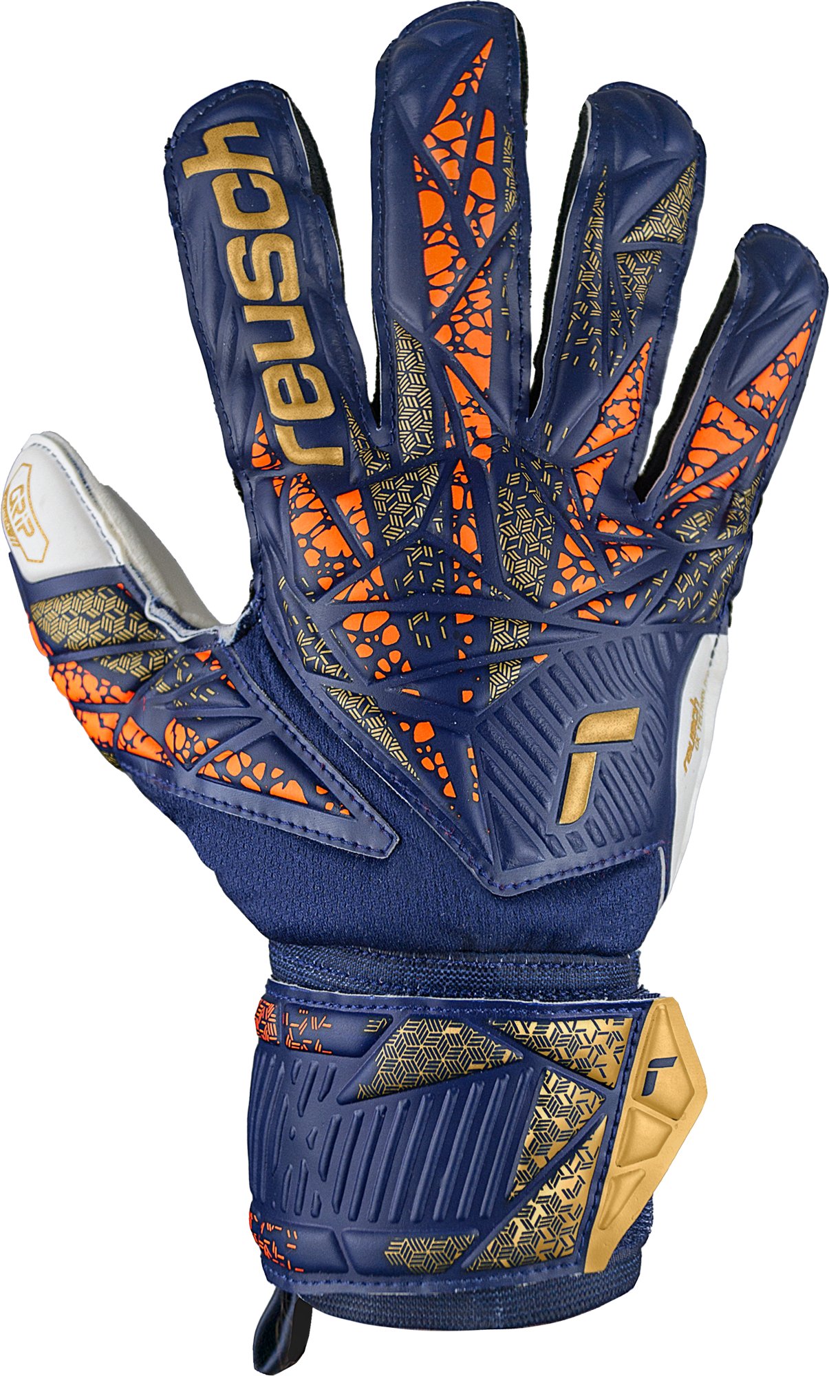 Reusch Attrakt Grip 2024