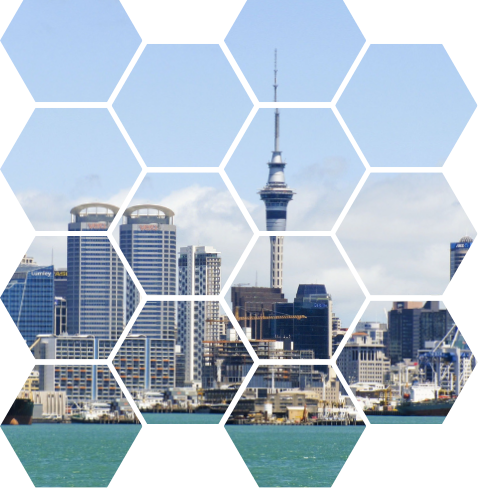 TILED_AUCKLAND.png